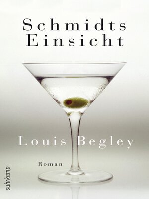 cover image of Schmidts Einsicht